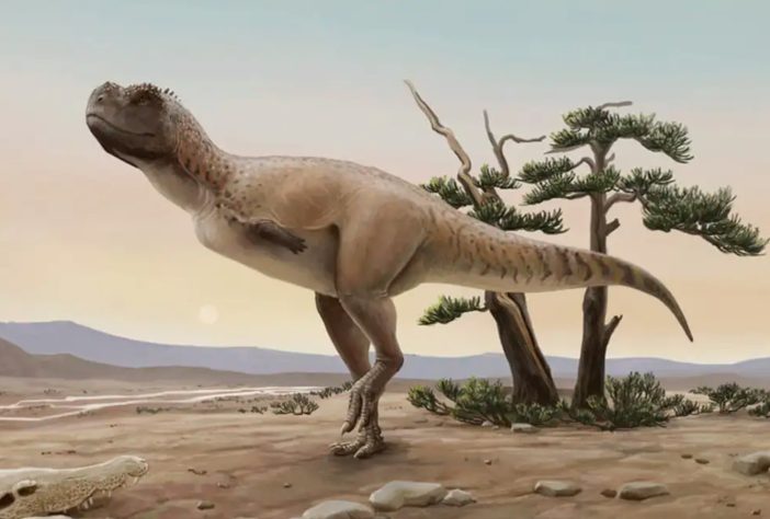 Kurupi itaata, espécie de dinossauro descoberta em São Paulo - Divulgação/Julia D'Oliveira