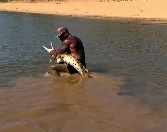 Influenciador viraliza com crocodilo: ‘Ele me pegou, mas eu o peguei!’