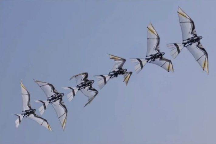 Engenheiros chineses desenvolvem robôs que imitam movimentos dos pássaros — Reprodução/Science Advances