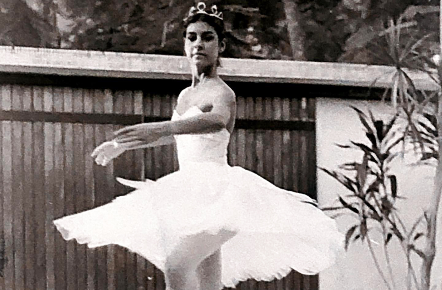 Cantora, compositora e bailarina, Fernanda Sampaio de Lacerda Abreu nasceu em 8 de janeiro de 1961 no Rio de Janeiro. Formada em balé clássico pela academia Tatiana Leskova, ela também estudou dança contemporânea, violão e canto. 