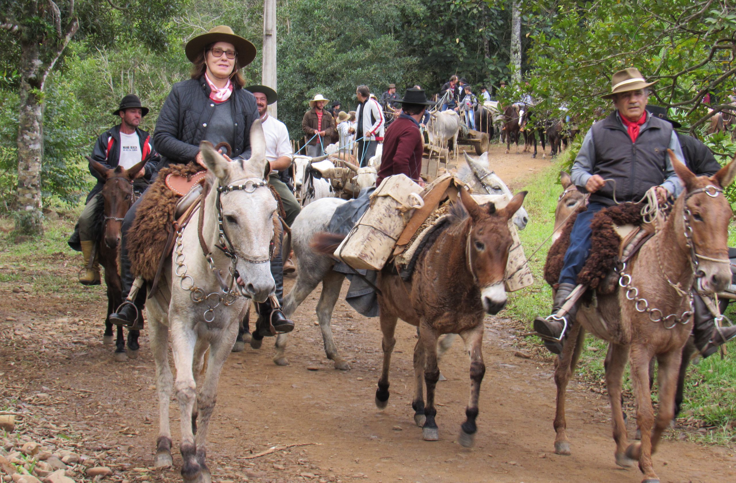 Os tropeiros percorriam longas distâncias a cavalo, transportando mercadorias entre regiões. Foram figuras essenciais na formação da cultura gaúcha e no desenvolvimento do Sul do Brasil.
