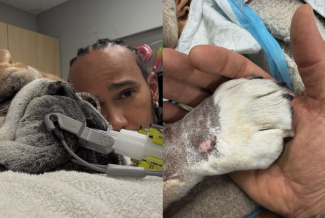 Depois de viver drama, Lewis Hamilton anuncia morte de cachorro: ‘Amigo verdadeiro’