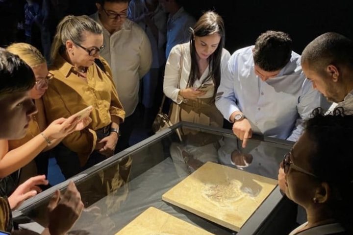 Atualmente, o Ubirajara jubatus pode ser visto no Museu de Paleontologia de Santana do Cariri.