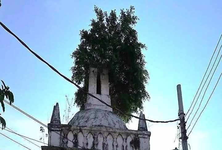 O principal símbolo da degradação é uma árvore que cresceu e atravessou o teto da igreja.
