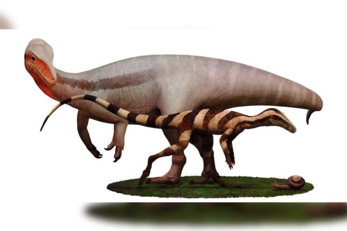 Staurikosaurus pricei e Buriolestes schultzi, primeiros dinossauros conhecidos - Reprodução/Luiz Eduardo Anelli