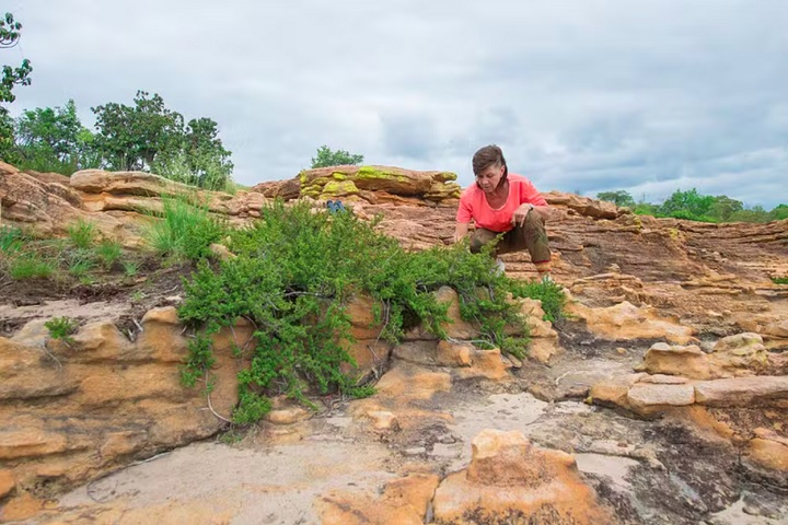 A professora Jill Farrant, consultora científica de Armani, foi quem redescobriu essas plantas em 1993.