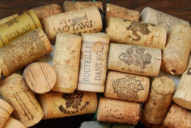 Vedação, barreira natural e artesanato: as funcionalidades das rolhas