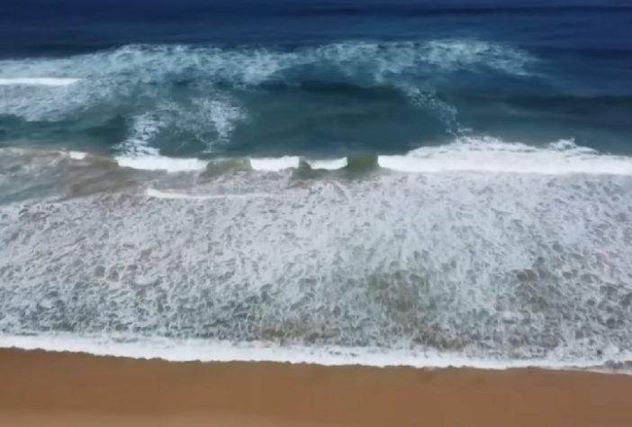 Ataque brutal de tubarão-branco mata surfista em praia de Dee Why, Sydney, Austrália - Reprodução