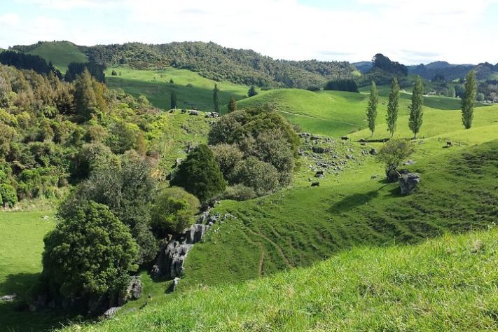 Waikato, Nova Zelândia - Wikimedia Commons/Cloudyskye