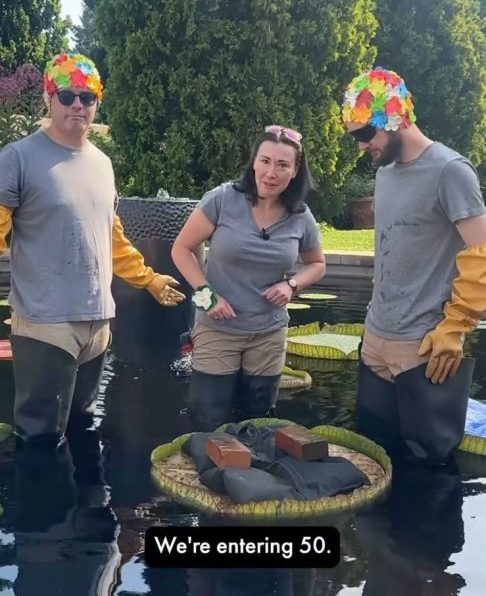 A competição, realizada de 18 a 24 de agosto, premiou uma folha de Victoria cruziana do Bok Tower Gardens, na Flórida, que suportou 83 kg antes de afundar.