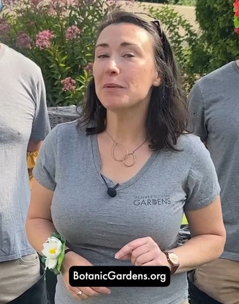 “Estou muito orgulhosa do que conseguimos construir a partir dessa ideia boba que começamos”, disse a gerente assistente de engajamento de aprendizagem no Jardim Botânico de Denver, Vanessa Callahan.