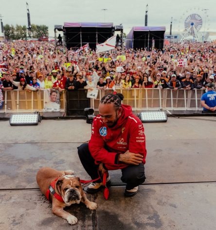 Lewis Hamilton e seu cachorro Roscoe – Reprodução @lewishamilton