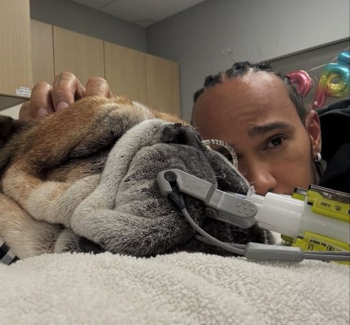 Lewis Hamilton e seu cachorro Roscoe – Reprodução @lewishamilton