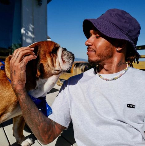 Lewis Hamilton e seu cachorro Roscoe – Reprodução @lewishamilton