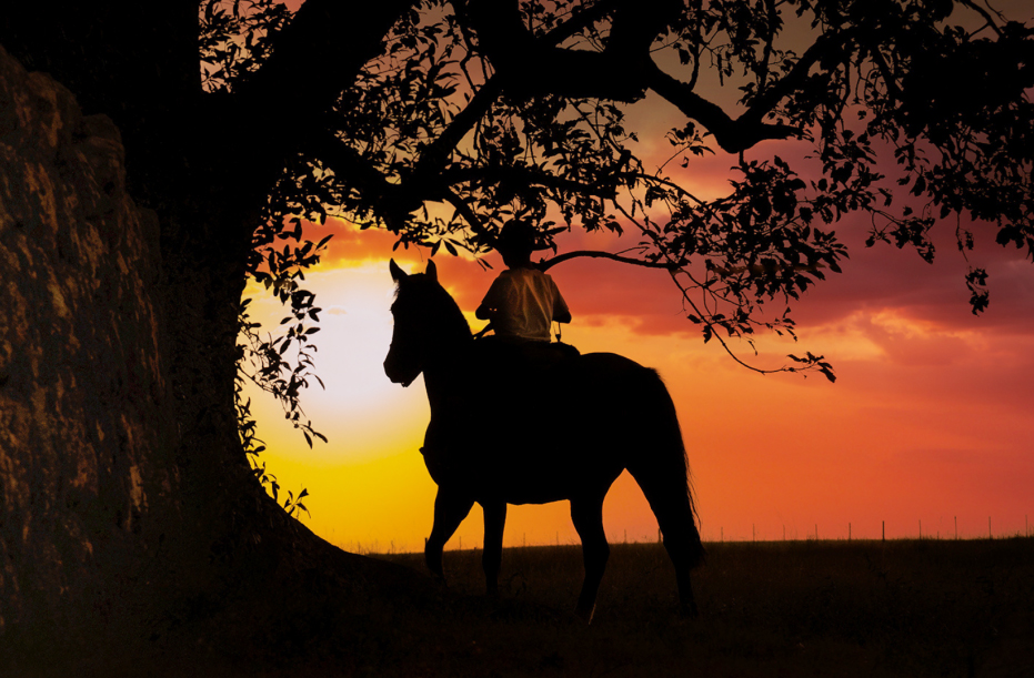 A relação do gaúcho com a terra é profunda. Ele valoriza o trabalho rural, a natureza e a vida simples — marcada pela dignidade e pelo respeito às raízes.