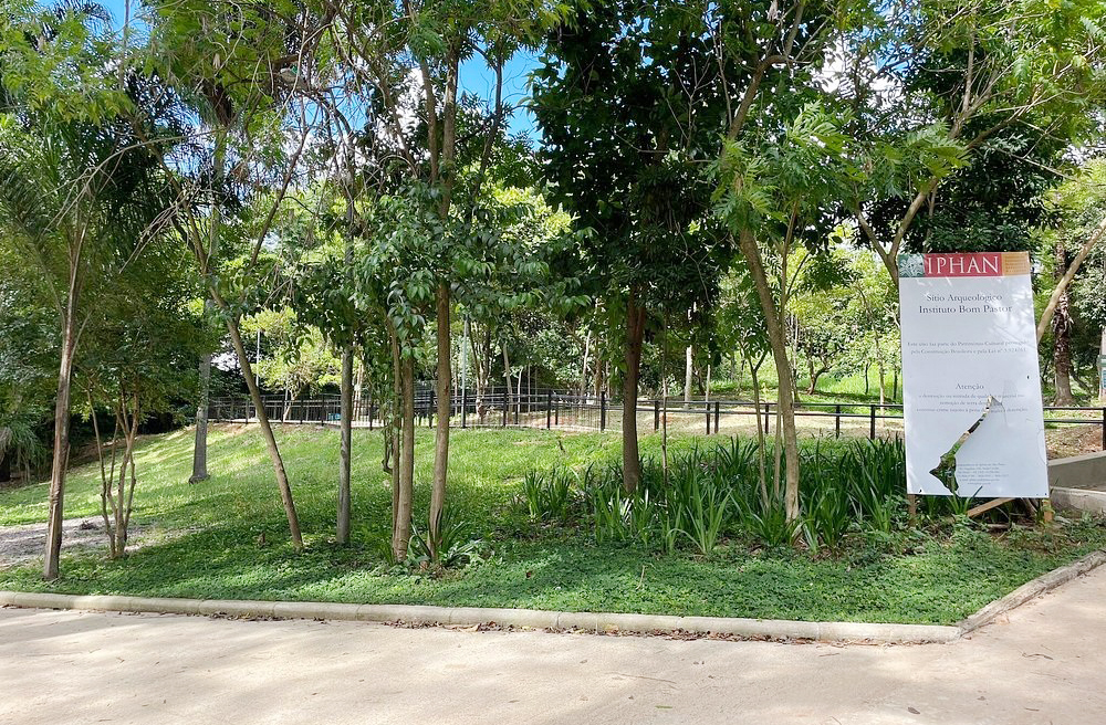 <p>Em relação à vegetação do parque, um alerta importante: 18 espécies arbóreas ameaçadas de extinção estão abrigadas ali. A lista é reconhecida pela União Internacional para a Conservação da Natureza, reforçando o valor ecológico do espaço.</p>
