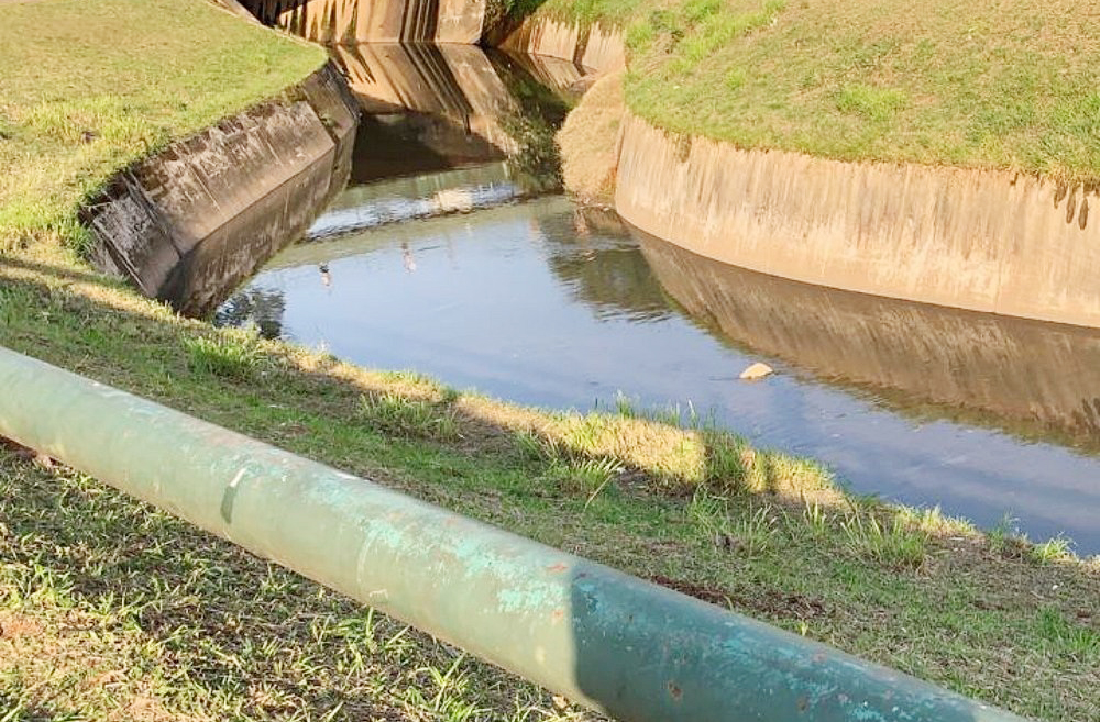 <p>A degradaÃ§Ã£o ambiental Ã© um grande desafio para a preservaÃ§Ã£o da memÃ³ria ecolÃ³gica do local. Em 2022, ano do bicentenÃ¡rio da independÃªncia, foram realizadas aÃ§Ãµes de limpeza e conexÃ£o Ã  rede de esgoto com o objetivo de melhorar a qualidade da Ã¡gua do Riacho do Ipiranga e valorizar o patrimÃŽnio histÃ³rico e natural do local.</p>
