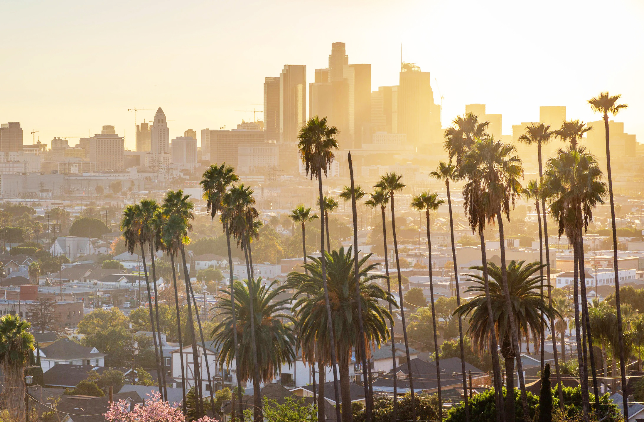 Los Angeles, o palco onde Hollywood encontra a realidade