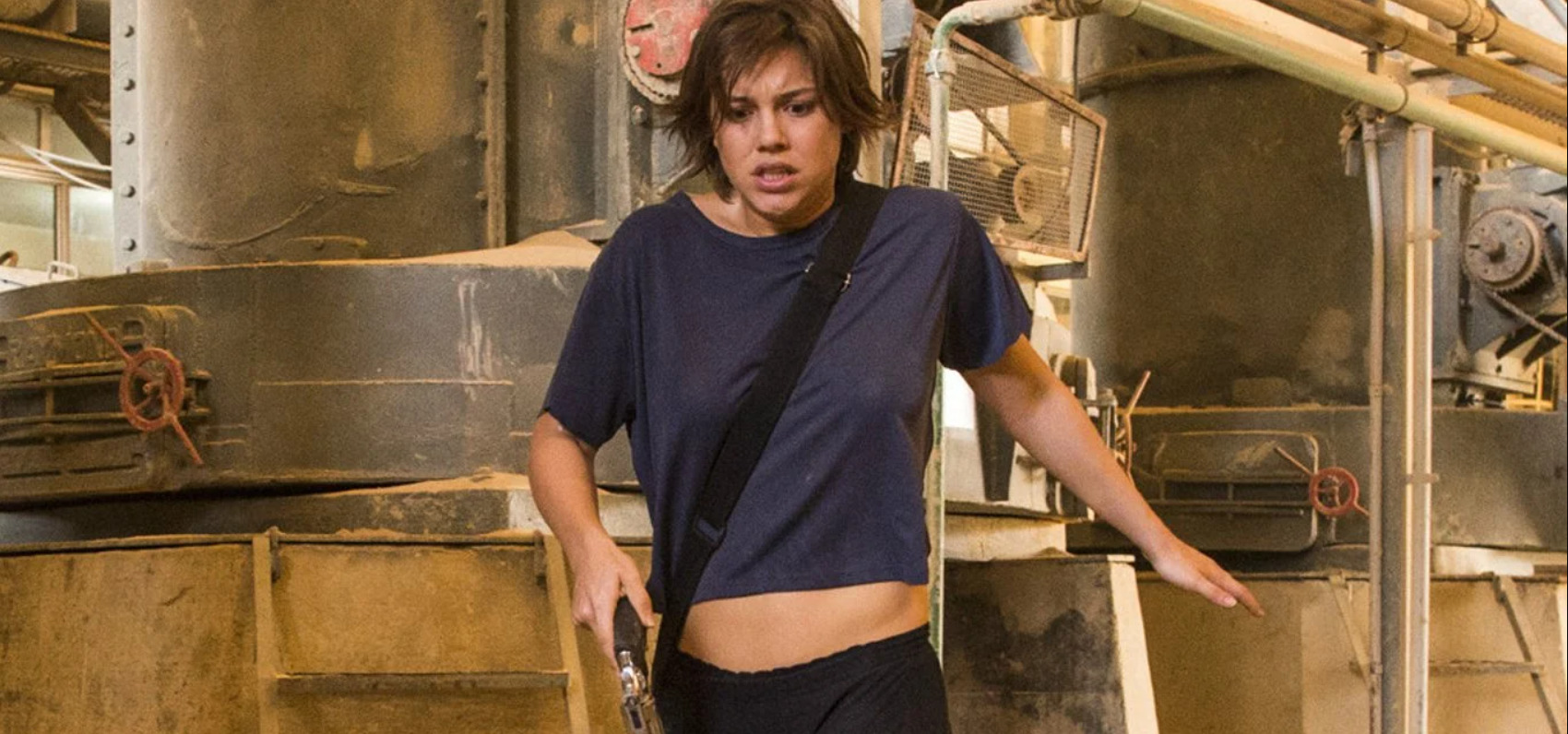 Entre 2016 e 2017, atuou em 