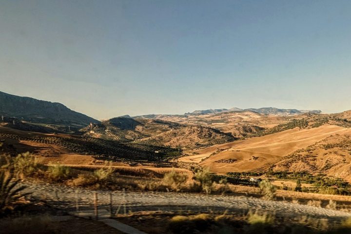 As paleodunas são campos de dunas consolidadas, estágio de transição para a rocha.