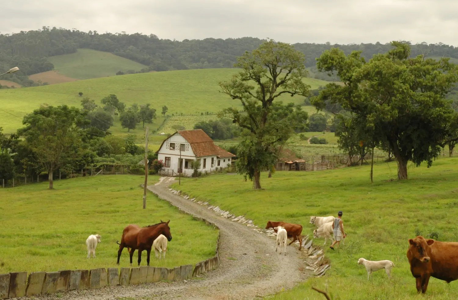 Em partes da Região Norte, o tamanho do terreno é o principal critério para diferenciar chácaras, sítios e fazendas. Já no Sul, além da área, são consideradas características como infraestrutura, uso da terra e estilo de construção. As distinções mostram como a categorização pode variar bastante país afora.

