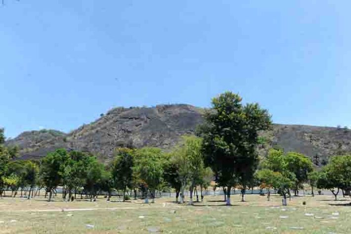 Parque Estadual da Pedra Branca