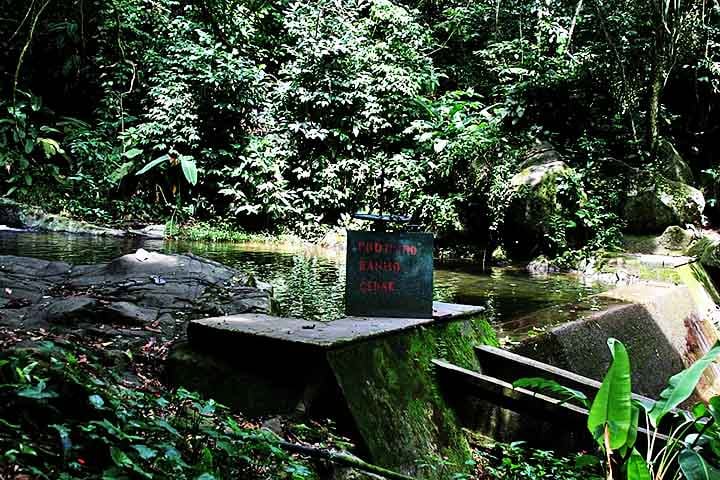 Além disso, este parque carioca funciona, de forma efetiva, como regulador climático, berçário de nascentes e refúgio de fauna típica da Mata Atlântica.