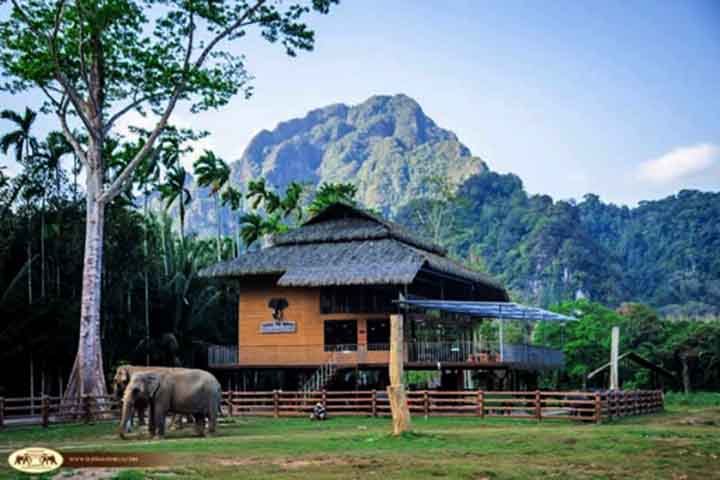 4º) Elephant Hills, Tailândia: Os hóspedes podem escolher entre se hospedar em tendas na floresta ou em bangalôs flutuantes. A interação com os animais é feita de forma ética, ou seja, nada de montaria.