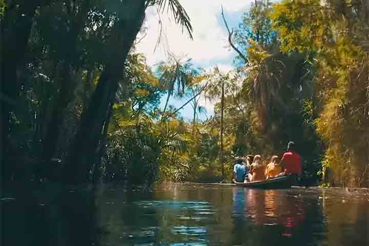 Quem visita o distrito encontra mais do que praias. Há oferta de passeios de barco pelo rio Tapajós e pelo Rio Arapiuns, travessias para praias mais isoladas, trilhas leves até mirantes naturais e visitas a comunidades ribeirinhas, 
