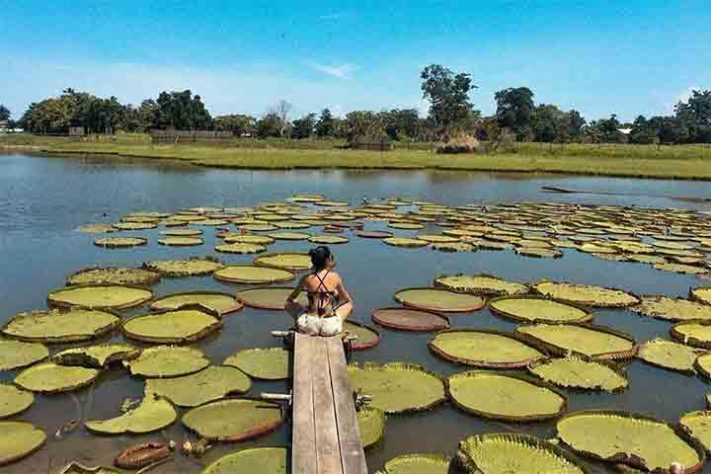 Alter do Chão, o 'Caribe Amazônico'
