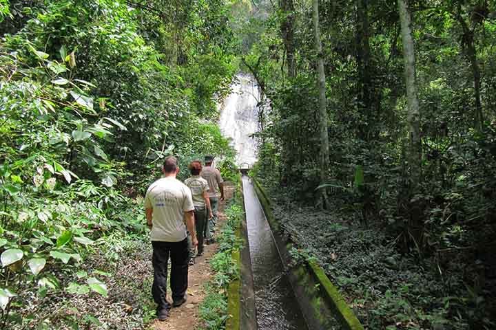 As nascentes do Parque Estadual da Pedra Branca que brotam no maciço alimentam reservatórios como Camorim, com efeito direto no abastecimento urbano.