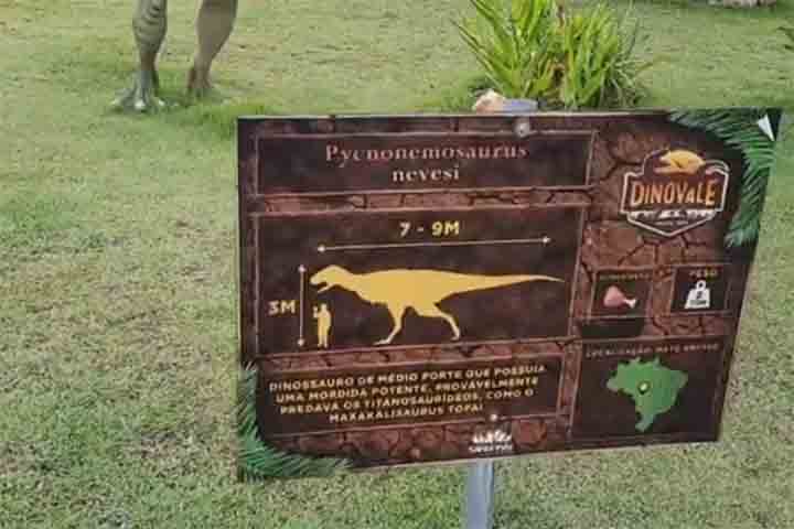 As réplicas também têm um forte apelo pedagógico, ao tentar educar o público, especialmente crianças, sobre a história desses animais.