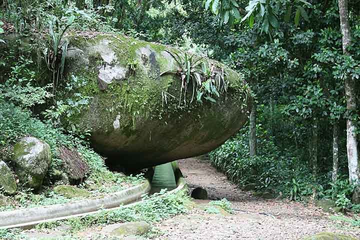 A maior floresta urbana do planeta se distribui por encostas, vales e cumes do maciço, que apresentam altitudes que passam de 1.000 m e uma rede de trilhas, riachos e cachoeiras.