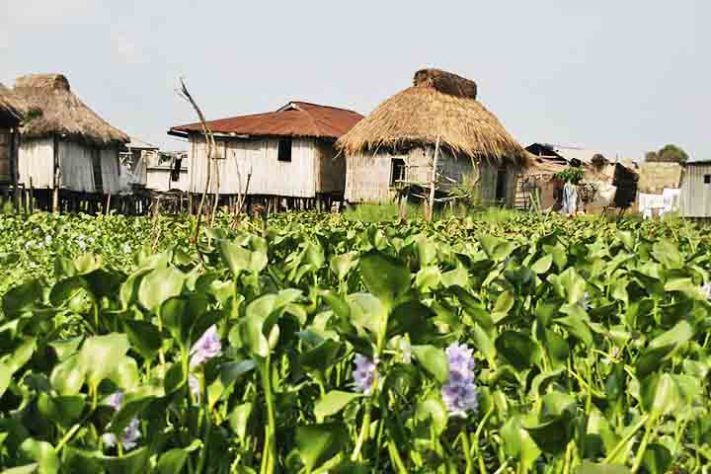 Benin (República do Benin), África - Reprodução do Flickr Willa2010