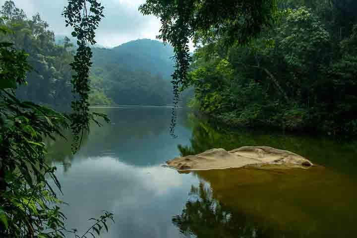 Em 2025, houve a descoberta de um jequitibá-rosa no local carioca, com cerca de 500 anos e 40 metros de altura. Um verdadeiro “arranha-céu” de copa larga que reforça o valor da área como santuário de espécies ameaçadas.