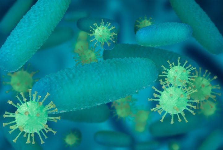 Mais de 40% das infecções com essas bactérias já são resistentes a cefalosporinas de 3ª geração, principais antibióticos usados nesses casos.