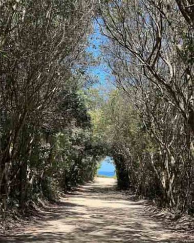 Parque Estadual da Pedra Branca