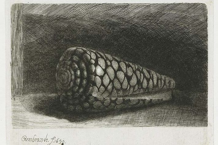 Rembrandt 