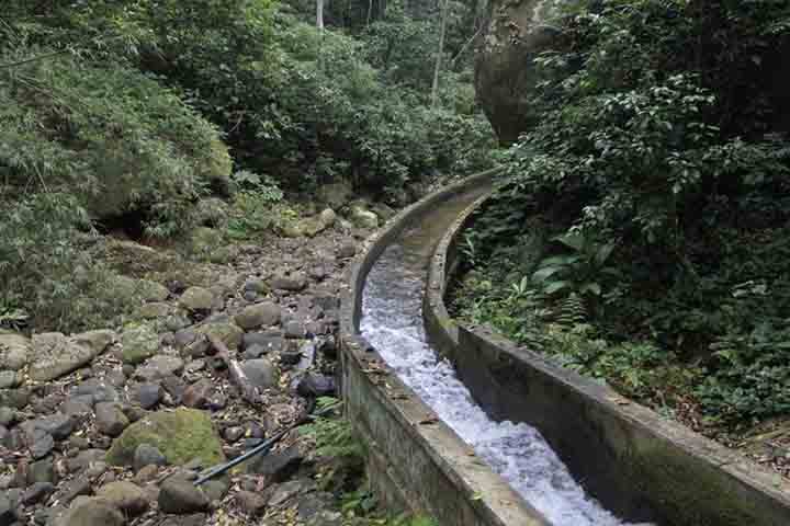 Nesse sentido, possui uma engenharia natural, que custa menos do que obras cinzas equivalentes e traz benefícios. Entre eles, o ar mais limpo, ruído amortecido, polinizadores ativos e áreas sombreadas de lazer que impactam diretamente a saúde pública.