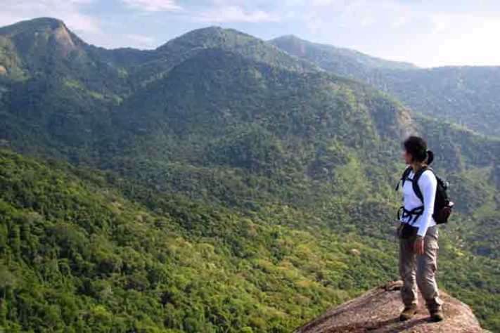 Parque Estadual da Pedra Branca
