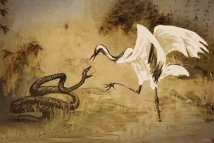 A versão mais comum da lenda atribui a observação do combate ao sábio taoísta Zhang Sanfeng, que teria vivido no século XII ou XIII. Enquanto meditava na montanha Wudang, ele teria testemunhado a luta entre uma garça elegante e uma serpente ágil.