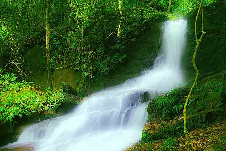 Uma das maiores e mais belas cachoeiras do parque é a do Camorim, que tem acesso pela trilha que se inicia na sede do PEPB. Ela tem uma queda d'água e um pequeno poço para nadar. Além disso, há bastante espaço para descansar e aproveitar o contato com a natureza.