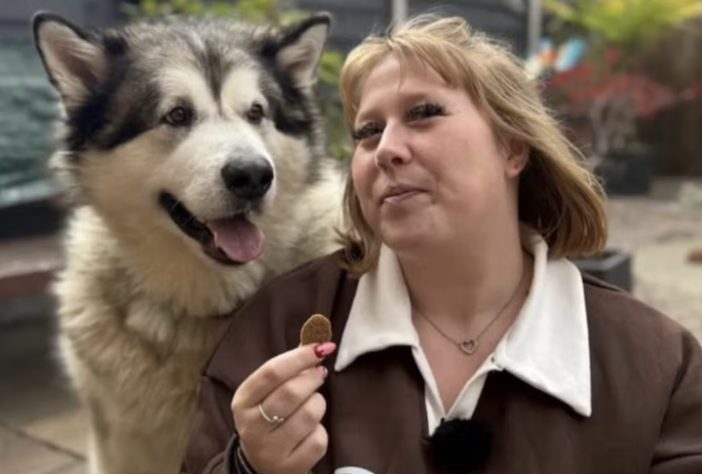 Cachorro gigante de 82 quilos faz sucesso nas redes sociais - Reprodução/Redes Sociais