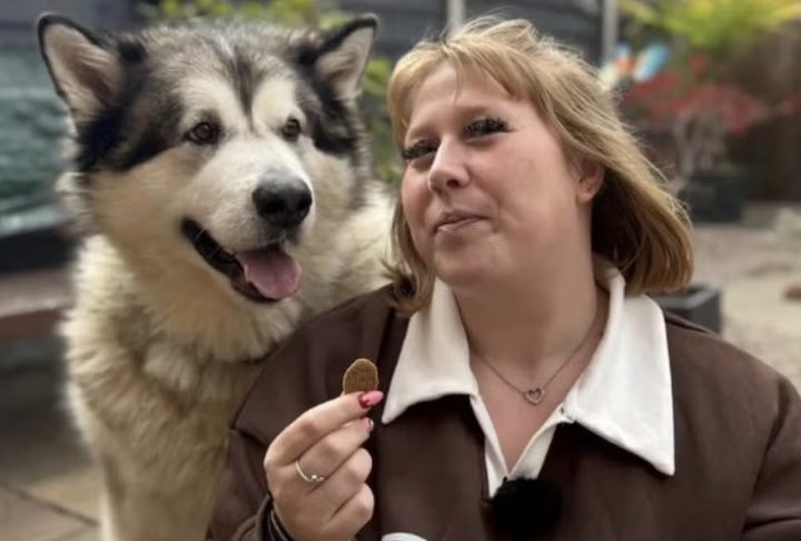 Sua tutora, Amy Sharp, de 27 anos, contou à BBC que nunca imaginou que o filhote cresceria tanto.