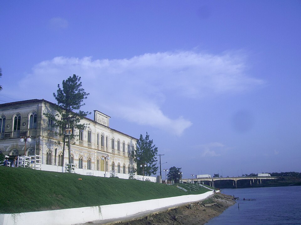 Um pitbull sÃ³ parou de atacar um outro cachorro na cidade de SÃ£o Miguel do GuamÃ¡, no ParÃ¡, quando recebeu golpes na cabeÃ§a.