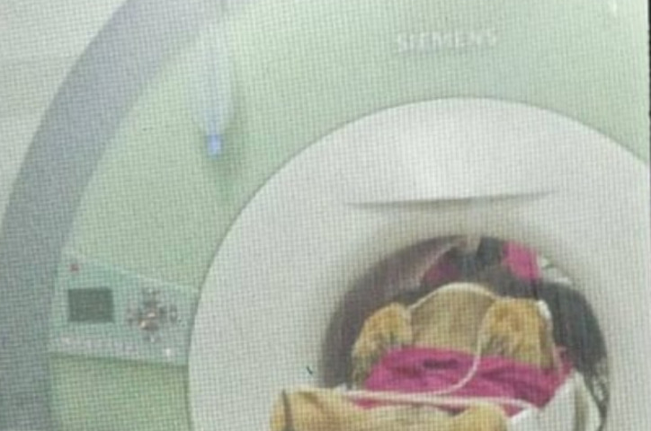 Com cerca de 160 quilos, o animal foi devidamente sedado para garantir segurança e recuperação tranquila. Dacar chegou ao zoo em 2024, vindo de São Paulo, e hoje divide o recinto com a leoa Zâmbia, sua companheira. Vamos conhecer mais sobre esses majestosos animais.