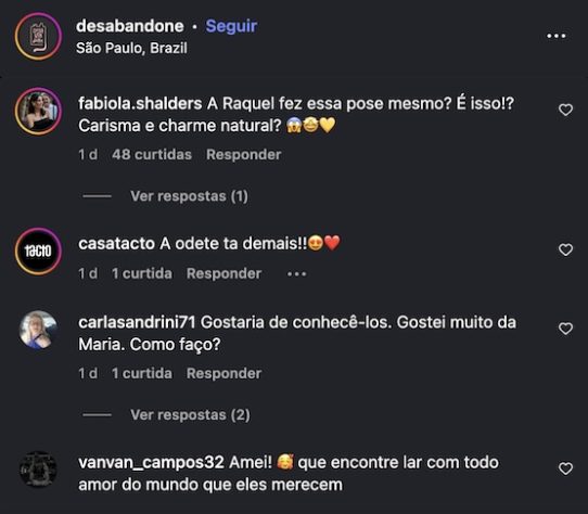 Inspirada em “Vale Tudo”, ONG cria campanha com cachorrinhos batizados de Odete Roitman, Raquel, César e Maria de Fátima – Reprodução/Instagram