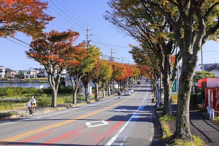 Toyoake, Japão – Wikimedia Commons/Tomio344456