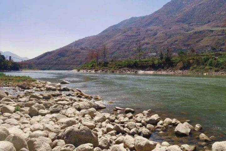 Entre as características físicas, se destacam a cabeça larga, focinho alongado, olhos pequenos e pele espessa com manchas e faixas que favorecem sua camuflagem.