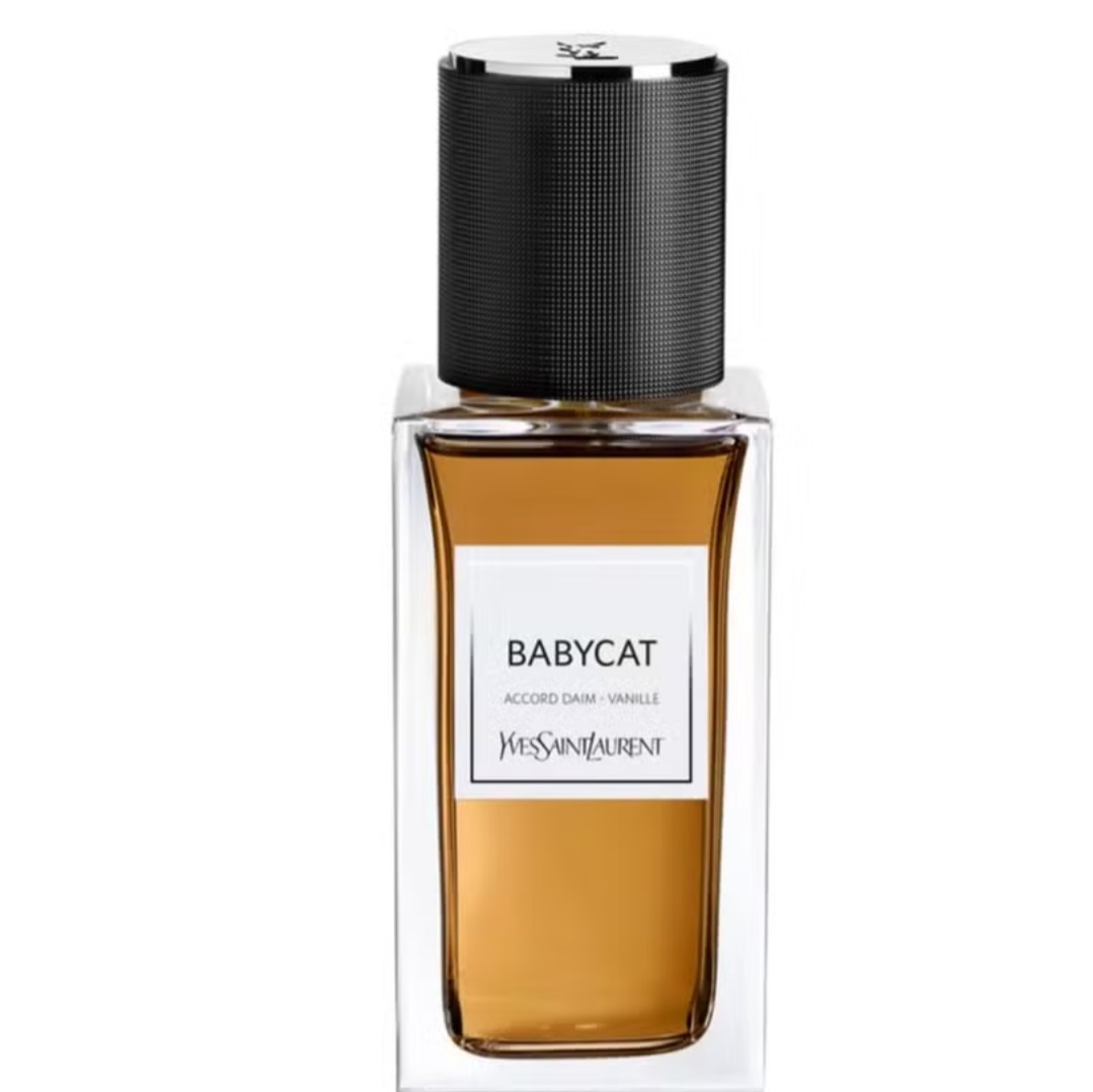 Entre eles, está o Yves Saint Laurent BabyCat, que é conhecido por seu poder de sedução e de renovar a clássica família amadeirada com uma trilha duradoura e intensa. 